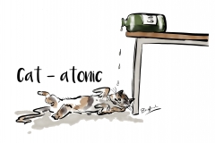 cat-atonic-just design