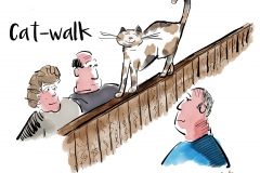 cat-walk design only