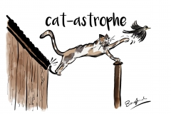 catastrophe design only