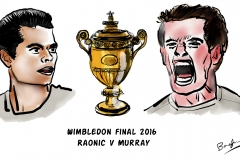 Wimbledon Final 2016