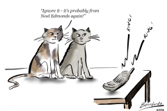 2 cats and the phone